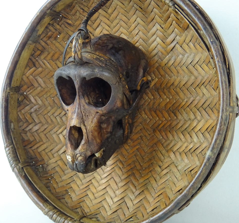 Tribal Monkey Skull